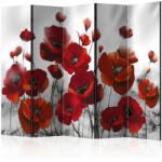 Artgeist Paraván - Poppies in the Moonlight II [Room Dividers] 225x172