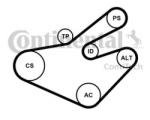 CONTITECH Set curea transmisie cu caneluri OPEL MOVANO Combi (J9) (1998 - 2010) CONTITECH 7PK1795K1