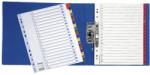 Esselte SEPARATOARE CARTON ESSELTE MYLAR CU INDEX LAMINAT A4, IANUARIE-DECEMBRIE Separatoare carton A4 Lunar Ianuarie-Decembrie (96002556)