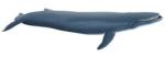 Papo kék bálna 56037 (56037) - regiojatek