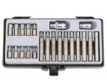 FORCE Шестограми накрайник TORX 10mm с отвор (Т10Н-Т55Н) комплект 22 бр. JN66142 FORCE (JN66142)