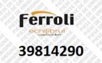 Ferroli Aerisitor centrala Ferroli Econcept 50 A 1/2 (39814290)