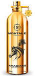 Montale Arabians EDP 100 ml
