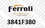 Ferroli Conducta schimbator centrala Ferroli Bluehelix Tech (3841F380)