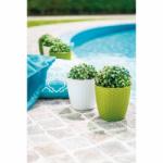 Stefanplast Ghiveci tip ratan (SP-73450GRGRAT)