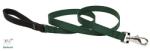 Lupine Pet póráz (Zöld 1, 9 cm széles 61 cm) (MSD37522)