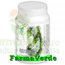 Pronatura Medica Astragalus 60 capsule ProNatura Medica