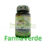 HERBAVIT Echinaceea 30 tablete Herbavit