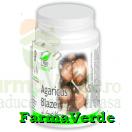 Pronatura Medica Agaricus Blazei 60 capsule ProNatura Medica