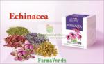 DACIA PLANT Ceai Echinacea - 50 g DaciaPlant
