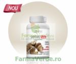 Zenyth Pharmaceuticals Shiitake Forte Ciuperca 500 mg 60 capsule Zenyth Pharmaceuticals