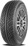 Cooper Discoverer Winter 255/50 R19 107V