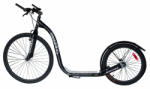 Worker Entropy (2008-W) Trotineta