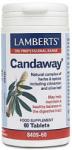 LAMBERTS Хранителна добавка при гъбична инфекция , Lamberts Candaway 60 tabs