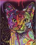 Heye Abyssinian 2000 db-os (29810)