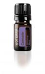 dōTERRA Console 5 ml