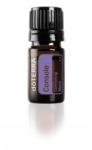 dōTERRA Console 5ml