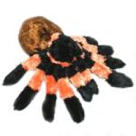 Wild Republic Tarantula 30 cm