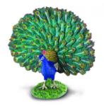 CollectA Figurina Paun (88209) Figurina