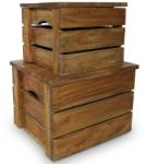 vidaXL Set cutii de depozitare 2 bucăți, lemn masiv reciclat (244498) - vidaxl