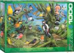 EUROGRAPHICS Garden Birds, John Francis 1000 db-os (6000-0967)