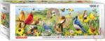 EUROGRAPHICS Panoráma puzzle - Garden Birds 1000 db-os (6010-5338)