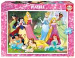 Educa Disney Princess 500 db-os (17723)