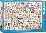 EUROGRAPHICS The World of Dogs 1000 db-os (6000-0581)