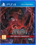 Badland Games Anima Gate of Memories The Nameless Chronicles (PS4)