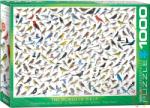 EUROGRAPHICS The World of Birds 1000 db-os (6000-0821)