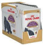 Royal Canin FHN British Shorthair 24x85 g