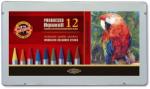 KOH-I-NOOR Set 12 creioane colorate fara lemn PROGRESSO AQUARELL KOH-I-NOOR