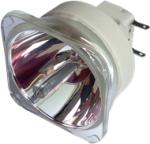 Hitachi DT01411 lampă originală fără modul (DT01411)