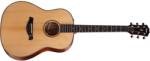 Taylor Builder's Edition 517e