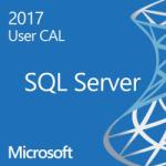 Microsoft SQL Server Standard Edition 2017 359-06557