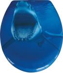 Eisl Shark