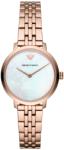 Giorgio Armani Emporio Armani AR11158 Ceas
