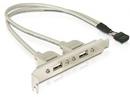 Delock USB 2.0 hátlapi kivezetés (2 port) (71000)