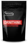 Natural Nutrition Ornithine (L-ornitin HCl) (400g)