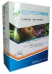 CHEMARK Fungicid Coppermax 1kg