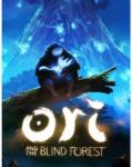 Nordic Games Ori and the Blind Forest (PC)