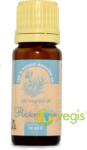 Herbavit Ulei Esential de Rozmarin 10ml