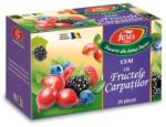 Fares Ceai cu fructele carpatilor 20 plicuri