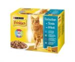 Friskies Adult salmon, tuna, sardine & cod 12x100 g