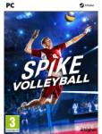 Bigben Interactive Spike Volleyball (PC) Jocuri PC