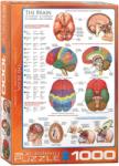 EUROGRAPHICS The Brain - 1000 piese (6000-0256) Puzzle