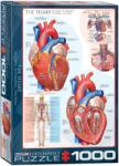 EUROGRAPHICS The Heart - 1000 piese (6000-0257) Puzzle