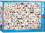 EUROGRAPHICS The World of Dogs - 1000 piese (6000-0581) Puzzle