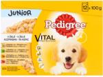 PEDIGREE Junior cu pui și orez, miel și orez, pasăre și orez, vită și orez 12 x 100 g