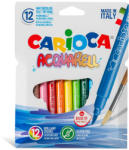 CARIOCA Ecsetvégű filctoll 12db-os - Carioca (42747)